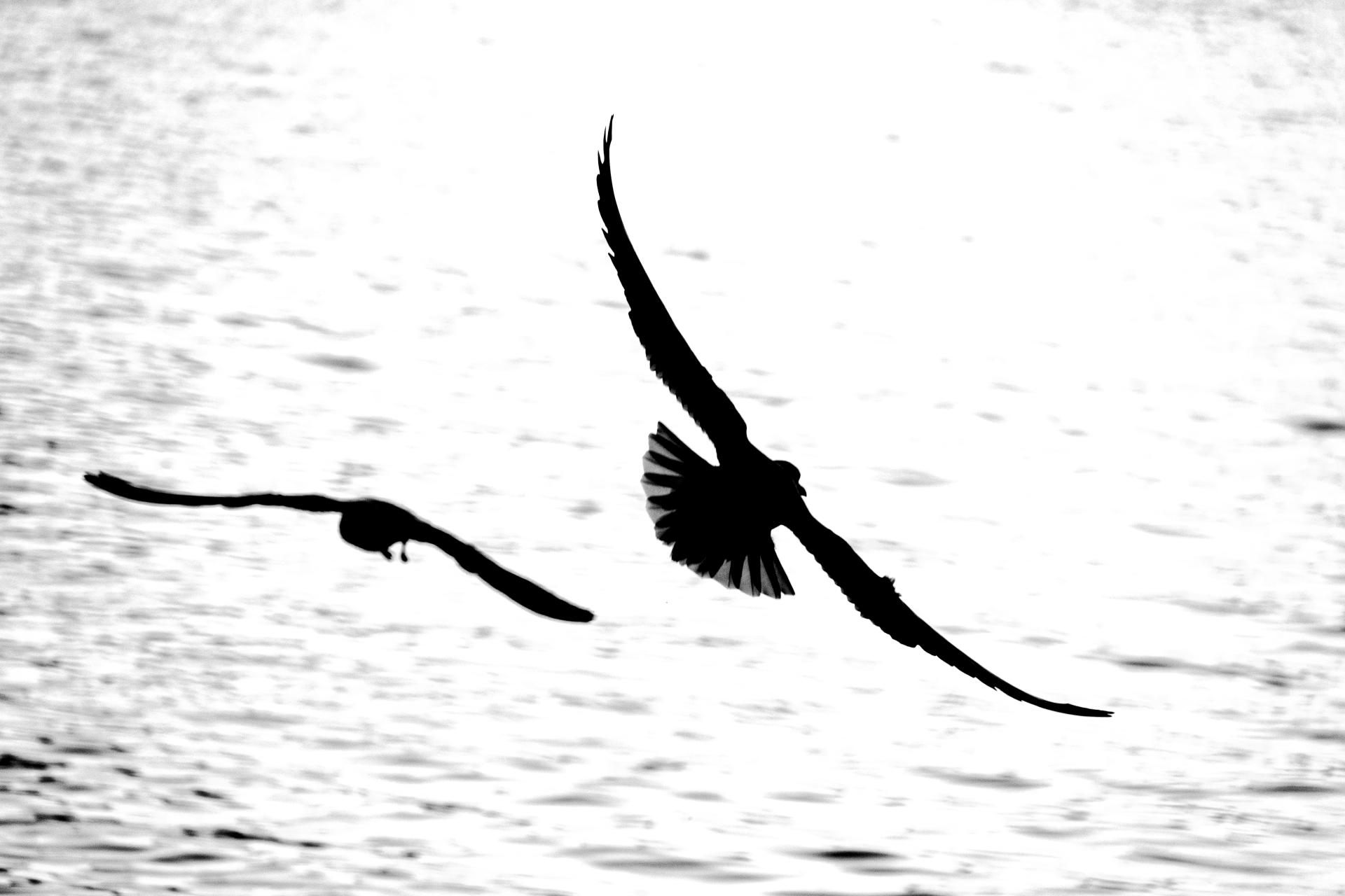 Smettere di autosabotarsi: consapevolezza, autostima e cambiamento